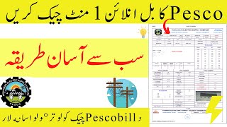 pesco online bill check 2022  electricity bill online check pesco  pesco wapda bill  pitc pesco [upl. by Areval]