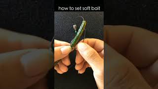 Set soft bait setting 🔥 🔥 lurefishing [upl. by Sergeant]