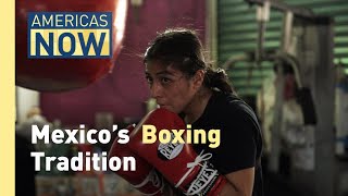 Mexicos Boxing Legacy [upl. by Epstein]