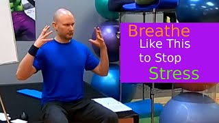 Relieve Stress in 1 Minute with Simple Breathing Technique LifeShop Class [upl. by Teews891]