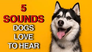 5 Sounds Your Dog Loves  Sounds that attract dogs and puppies [upl. by Pump]