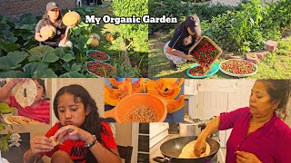 My Organic Garden In UsaHome Made Burrito 🌯Rachana Jasna JastinaMukbangJenna Shrestha [upl. by Tugman]