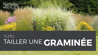 Tuto  Tailler une graminée [upl. by Okram787]