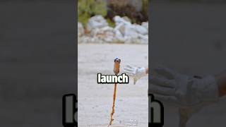 How to launch water bottle like rocket 🤔 [upl. by Wells]