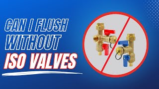 Can I Flush a Tankless Water Heater Without Isolation Valves [upl. by Nilok665]