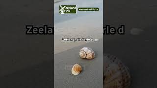 Zeeland die Perle der niederländischen Küste zeelandtrip zeeland urlaubinholland strandurlaub [upl. by Aseretairam58]