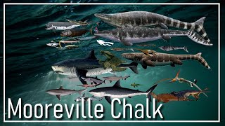 🇺🇲 The Mooreville Chalk Ocean [upl. by Lewls]