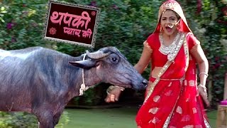 Thapki Gets Scared Of A Buffalo  Thapki Pyar Ki  थपकी प्यार की  TellyMasala [upl. by Lenod]