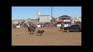 Ranch Rodeo 2024 Trailer Loading [upl. by Tuchman]