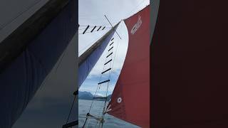 Homeward bound heeledover oceanbird lundboats allenfarrell shortfeed shortsvideo [upl. by Akcira203]