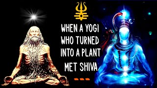 Shiva and a Yogi who turned into a plant  Sadhguru [upl. by Anitel]