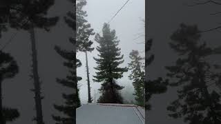 Nathia Gali song music reels nature trending [upl. by Gnilrad225]