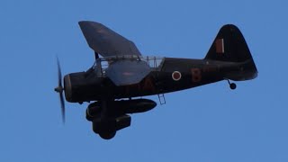 Westland Lysander at Old Warden 7th May 2023 [upl. by Golub818]