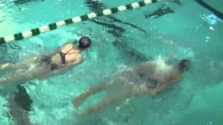 Potomac Marlins Stroke Workshop Butterfly Stroke Drills Video [upl. by Nickolaus472]