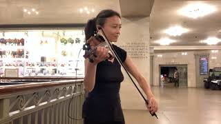 Street Violin Improvisation  Digest  Jia Doughman [upl. by Mast]