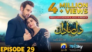 Dile Nadan Episode 29  Ali Abbas  Amar Khan  Zulfiqar Mikaal  19 November 2024 Review [upl. by Petes150]