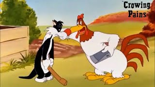 Crowing Pains 1947 Looney Tunes Foghorn Leghorn and Sylvester the Cat Cartoon Short Film  Review [upl. by Sharleen451]