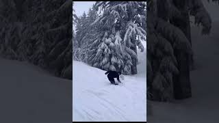 Collecting SkiersSnowboarders 371000🏂⛷️ski skiheaven skiing snowboarding viralvideo [upl. by Iasi595]