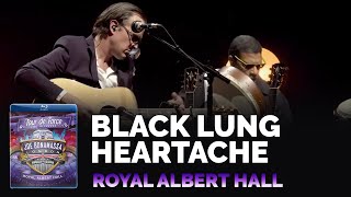 Joe Bonamassa Official  quotBlack Lung Heartachequot  Tour de Force Royal Albert Hall [upl. by Suivatnom]