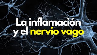 LA INFLAMACION Y EL NERVIO VAGO [upl. by Nowtna]