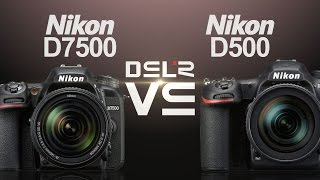 Nikon D7500 vs Nikon D500 [upl. by Imugem]