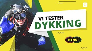 Vi prøver ut dykking  NTNUI [upl. by Buckels]