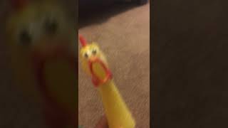 Rubber chicken crying [upl. by Akimrej]