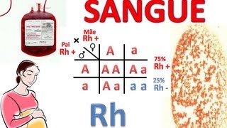 Sistema Rh e ABO Herança e Transfusão Sanguínea Pt1 [upl. by Jonme]