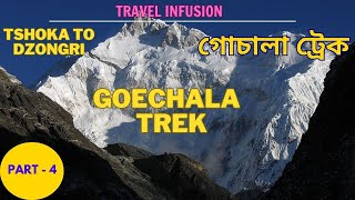 Goechala Trek  Part 4  Trekking in the Himalayas  TRAVEL INFUSION  TSHOKA to DZONGRI April [upl. by Ettenaej]