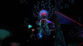 The Supertree Grove light show at Gardens by the Bayyoutubeshorts youtube vlog [upl. by Anerdna]