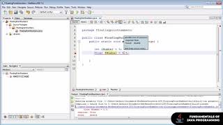 Floating Point Numbers  The Fundamentals of Java [upl. by Suissac]