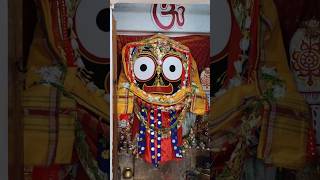 Jete jauchi mo bayasa gadi new odia bhajan whatsapp status video mahaprabhu jayjagannath [upl. by Richart]