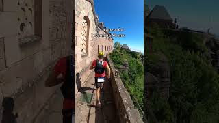 La quête de tous nos chevaliers sur le Trail Alsace Grand Est by UTMB 2024 [upl. by Margetts423]