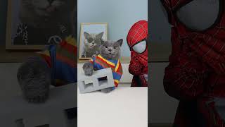 How Did My “Perfect Prank” Backfire On Me In The End😵funnycat funnyprank [upl. by Esinal]