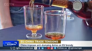 China targets French brandy after EU approves EV tariffs [upl. by Sale]