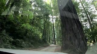 North Redwoods NP CA Pt 1 [upl. by Vez898]