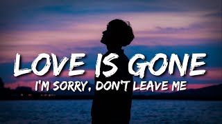 LOVE IS GONE  Slander FT Dylan Matthew  Full Lyrics Video [upl. by Hole]