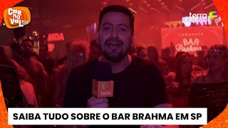 Carnaval 2024 Repórter mostra como é dentro do Camarote Bar Brahma [upl. by Dash]