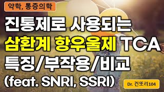 삼환계 항우울제TCA 진통제로서의 특징과 SSRI SNRI와의 비교 [upl. by Olzsal]