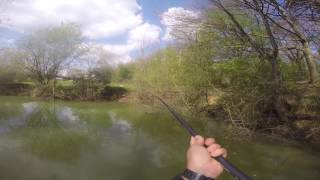 La carpe au coup E1 S4 Etang de Romainville [upl. by Garett]