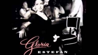 Gloria Estefan  Mi Tierra Flores Latin House Mix [upl. by Acilegna]