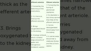 Difference between Afferent arteriole and Efferent arteriole Biology👍😊 [upl. by Naylor]