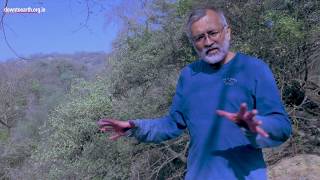 Aravalli  Story of a dying mountain range [upl. by Katharyn]