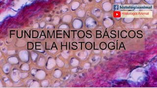 Fundamentos Básicos de la Histología  Curso en Línea 1001 [upl. by Ferreby]