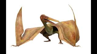 Pterodactylus Roar Dino Dan [upl. by Iadam806]