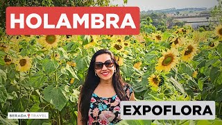 O que fazer em Holambra em 1 dia com Expoflora 2023 [upl. by Durst393]