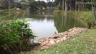 Lago de la BabillaHD Youtube El Pais [upl. by Evered466]