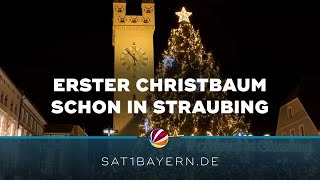 Christbaum im Oktober Darum steht in Straubing schon der Tannenbaum [upl. by Schoenfelder731]