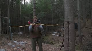 Shooting Primitive Bows  Osage  3 Spring Archery Tips Bonus Reflex Deflex [upl. by Lebazej]