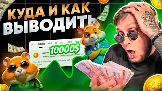 ЛУЧШЕЕ РЕШЕНИЕ  КУДА ВЫВОДИТЬ МОНЕТУ из ХАМСТЕР КОМБАТ  ЛИСТИНГ HAMSTER KOMBAT  Подробный Гайд [upl. by Emoryt]